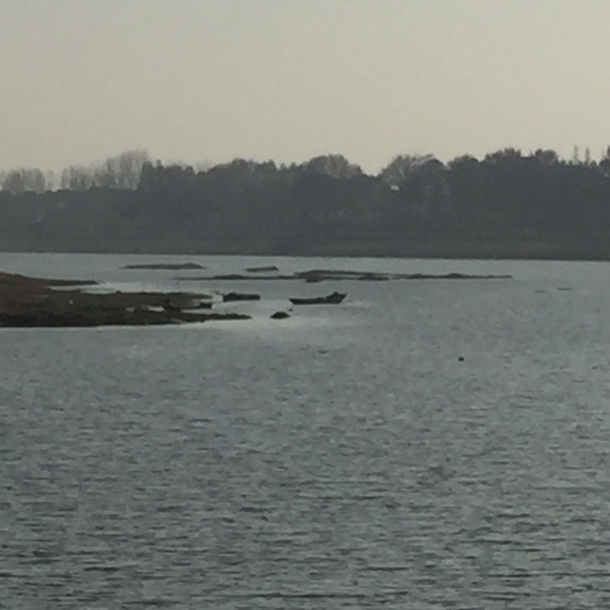 大趾头长，先死娘，我的脚大，趾头长，我的母亲嫌弃了我