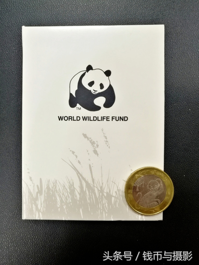 汤加的珍惜鲸鱼银币