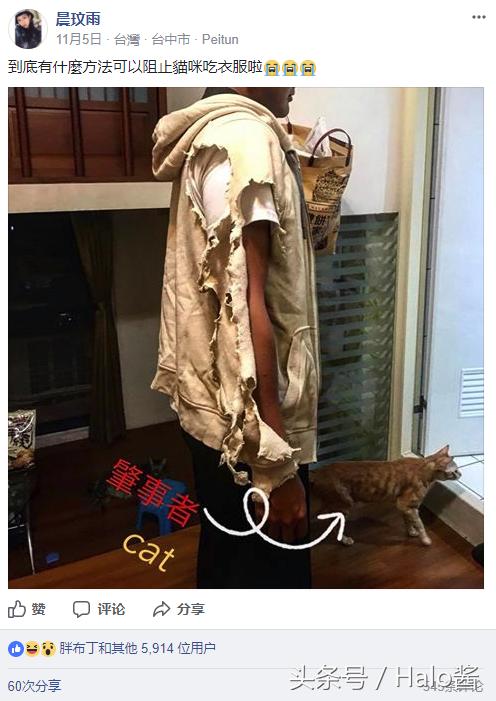 防止猫咪咬伤的衣服,怎么防止猫咪咬烂手术服