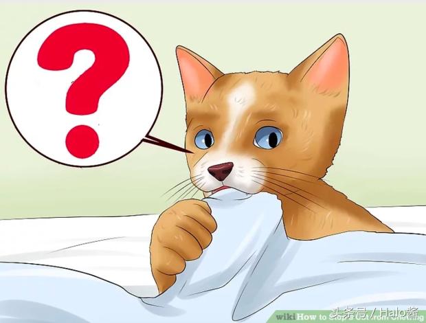 防止猫咪咬伤的衣服,怎么防止猫咪咬烂手术服