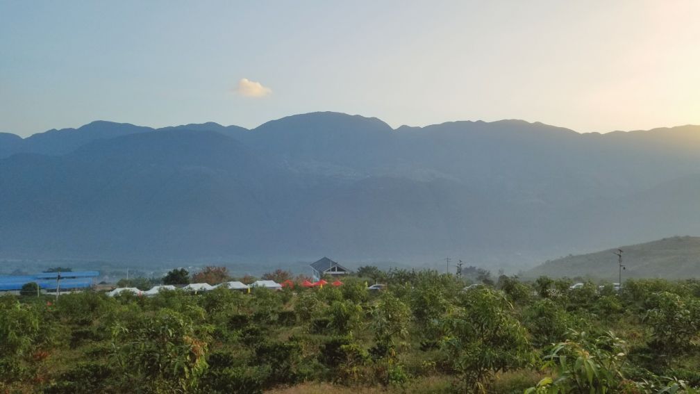 保山小粒咖啡市场分析,云南保山小粒咖啡