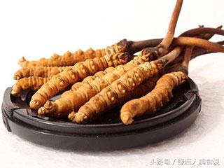 冬虫夏草男人吃了补什么,冬虫夏草补的哪里