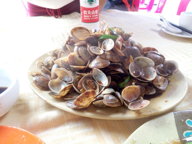 广东省沙扒湾游玩攻略,阳江沙扒湾游记