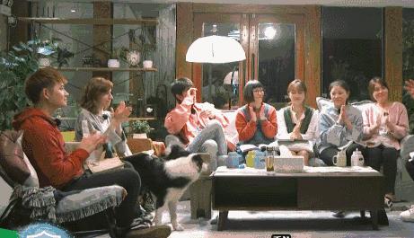 林更新陈赫好吗,林更新和陈赫cp