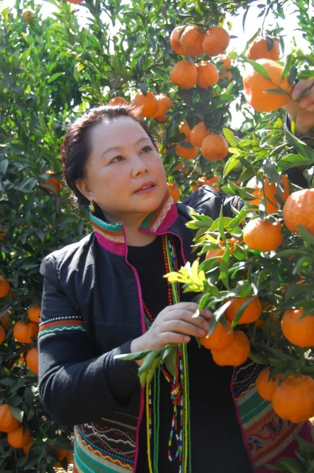 景宜一期,景宜2023新款