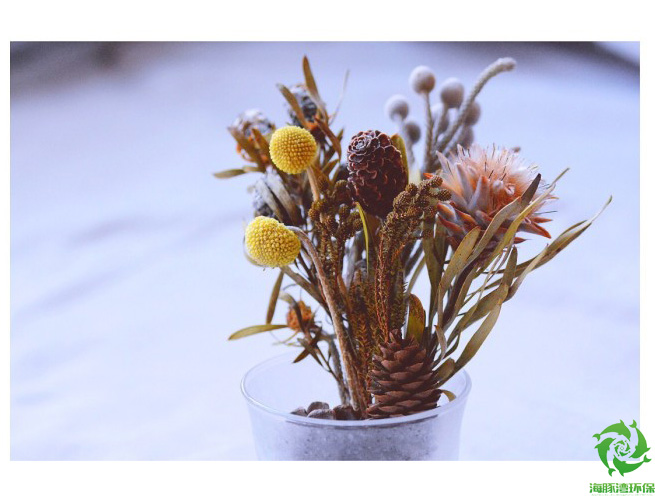 你的味道我知道原创,你的味道我知道简介