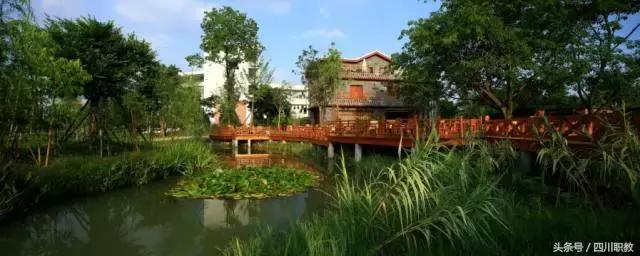 这是一所神奇的学校英文,这是一所神奇的学校