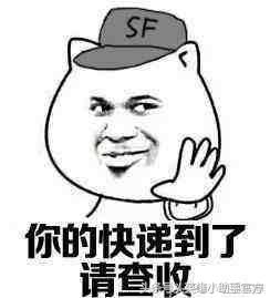 你连小裙子都还没有,可是盒子都开始有皮肤了!羞耻吗?