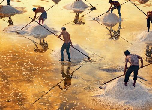 盐企改革最新方案,全国盐改后盐业企业情况