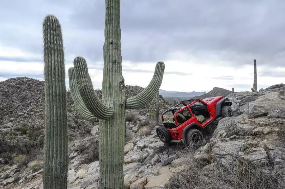 jeep牧马人爆改过的越野视频,全新换代jeep牧马人角斗士试驾