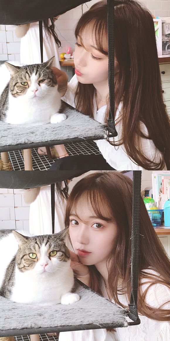 iphone唯美壁纸女神,苹果锁屏壁纸高清唯美美女