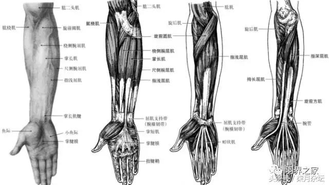 羽毛球单打课堂,羽毛球前臂内外旋发力练习跟练版