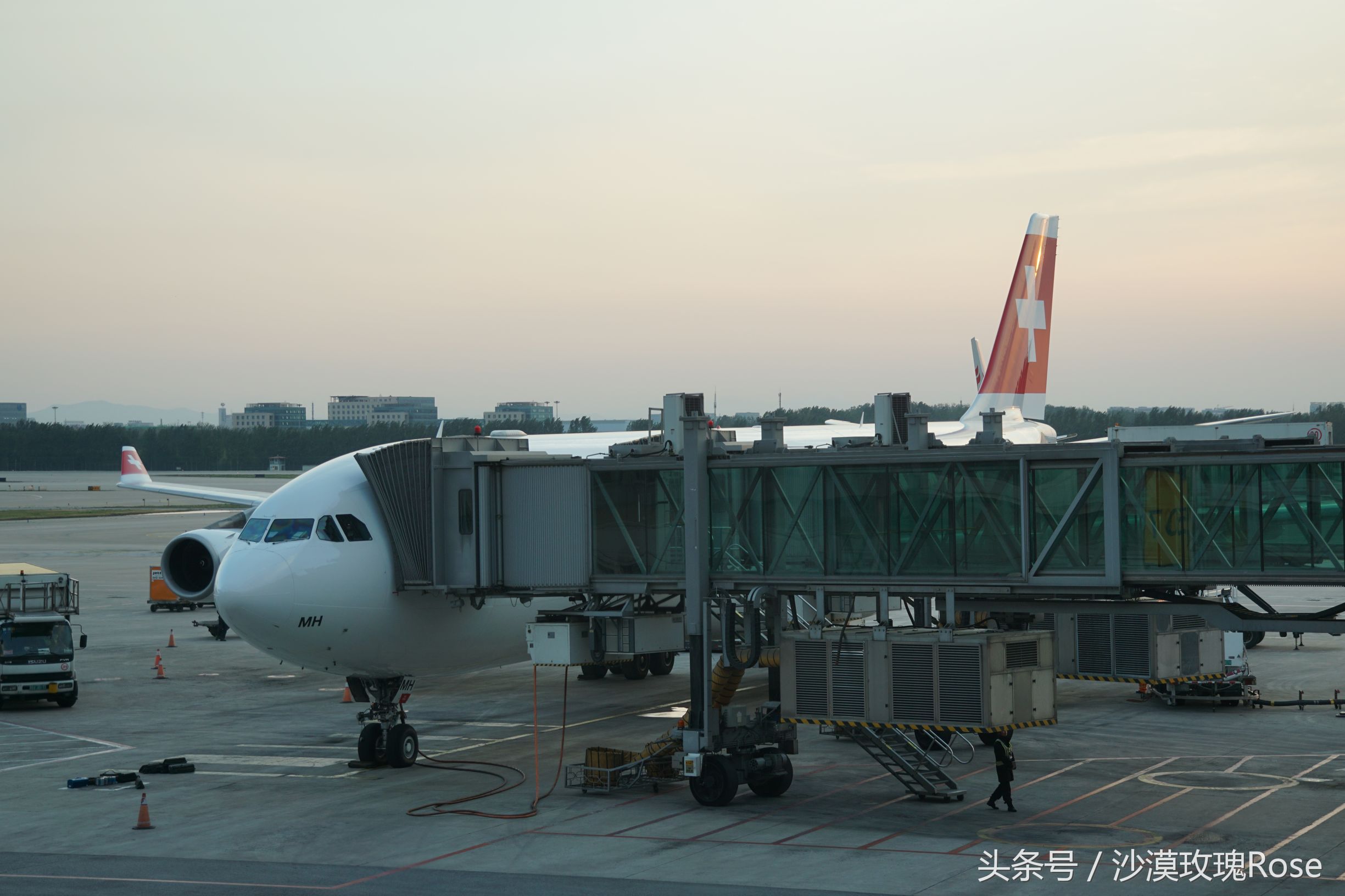 0元机票怎么买最便宜,0元购买飞机票