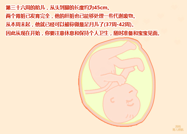 28周孕妇肚子疼发紧发硬怎么回事,孕妇怀孕9个月肚子特别紧