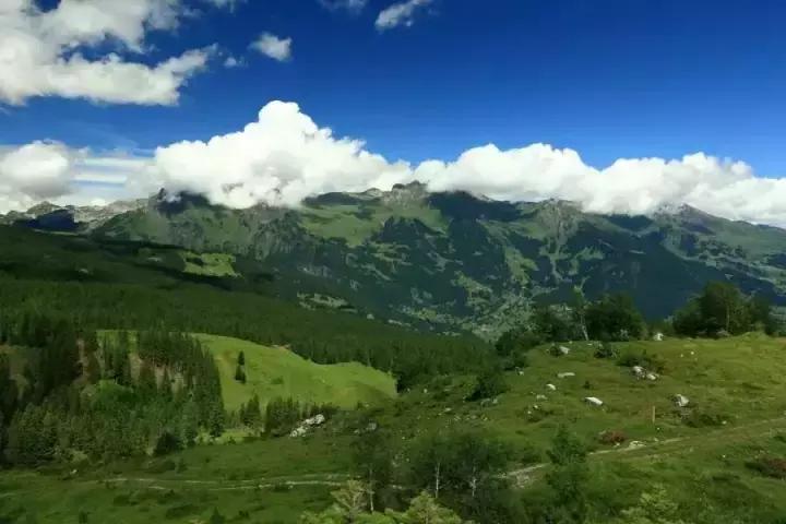 围场什么好玩的地方推荐一下,围场有啥好玩的