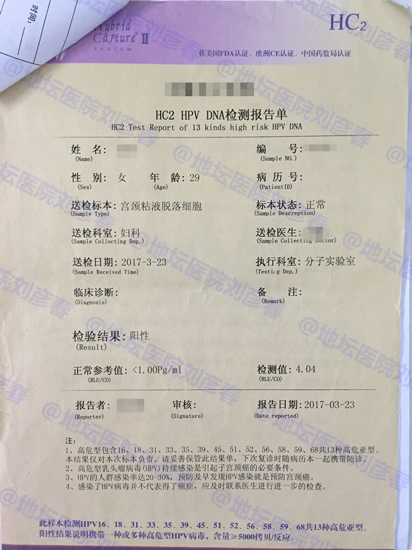 hpv感染引起湿疣或宫颈上皮内病变,高危传染型hpv51