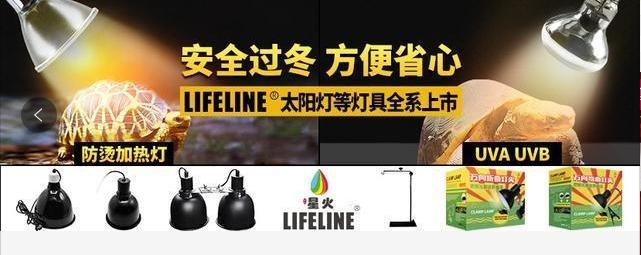 红腿陆龟的养殖方法,红腿陆龟应该怎么养