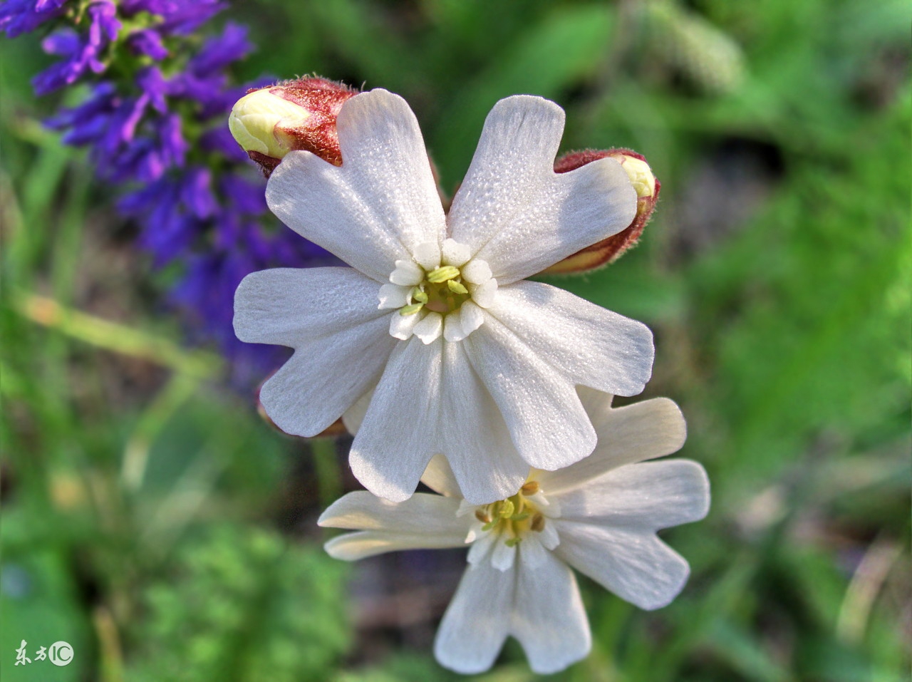 活法第3章:善良而不懦弱,顺从而不失勇敢