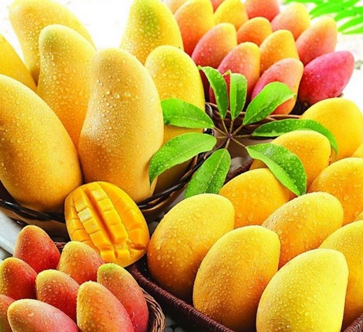 芒果有多少种品种图片,芒果有多少品种