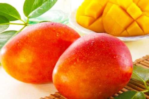 芒果有多少种品种图片,芒果有多少品种
