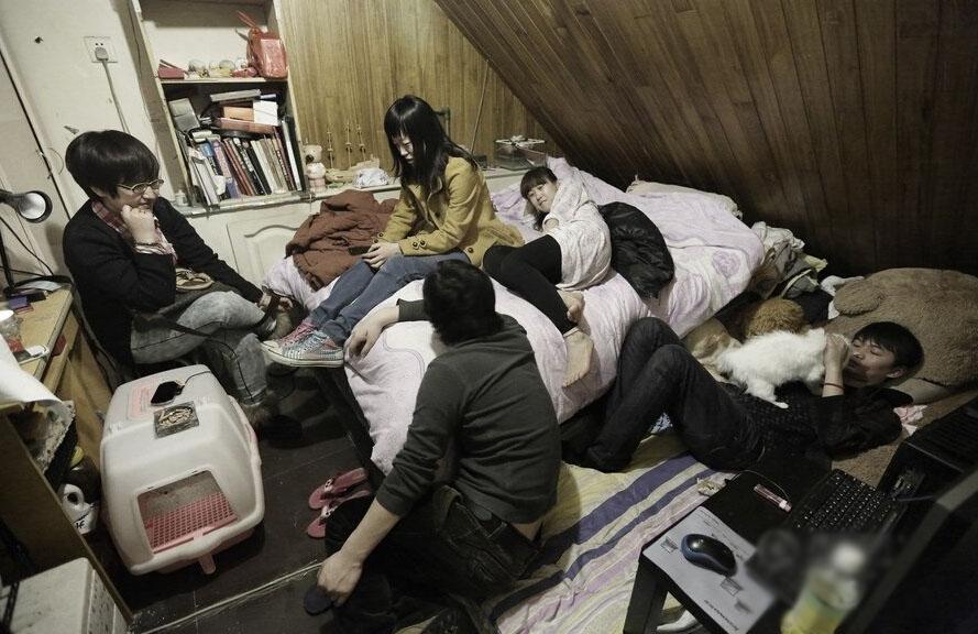 *款贷**租房，究竟是穷人的福利还是炒房者的狂欢？