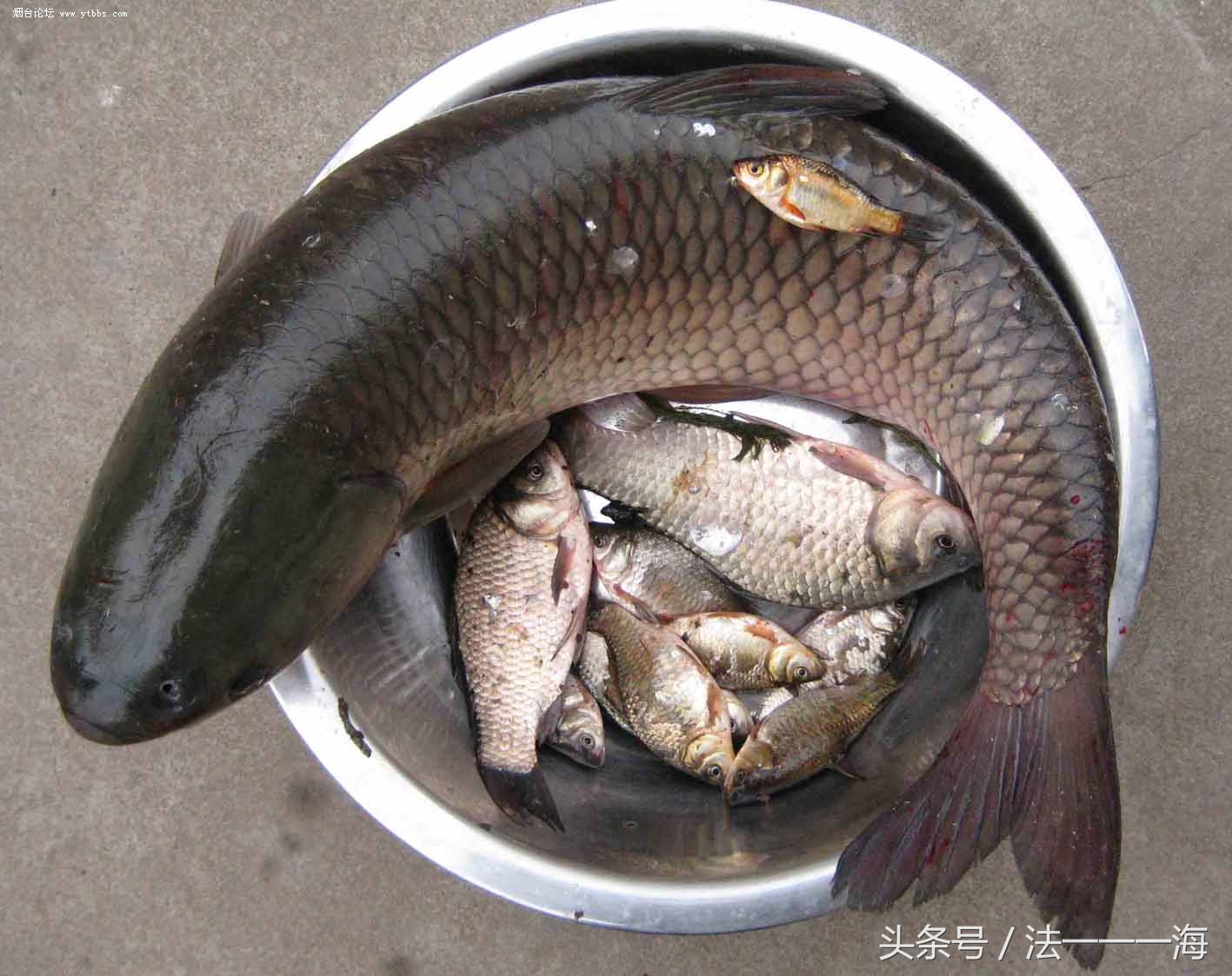 2017钓鱼人的无奈总结