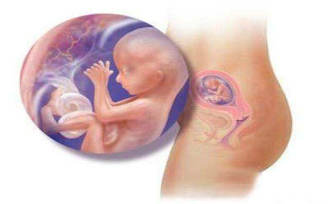 胎梦有哪些预示自己将要怀孕,胎梦真的准吗什么都会梦见