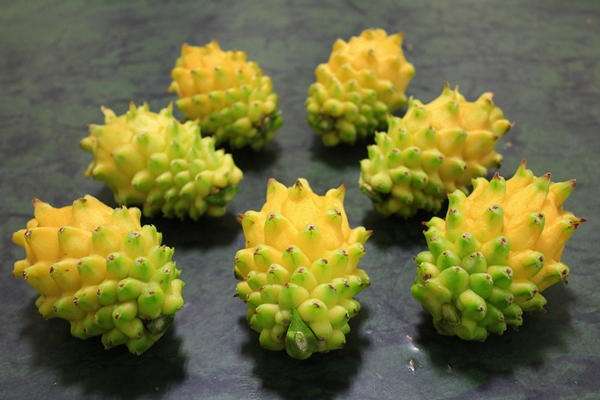 盘点世界上的奇特的水果,世界最奇葩罕见的20种水果