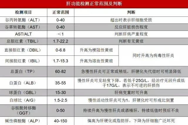 投保前体检都要查什么,投保前哪些身体指标需要特别注意