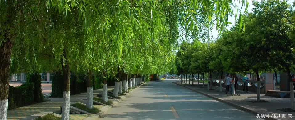 这是一所神奇的学校英文,这是一所神奇的学校