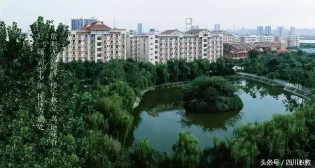 这是一所神奇的学校英文,这是一所神奇的学校