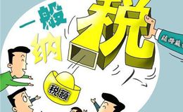 什么是小规模纳税人和一般纳税人,增值税一般纳税人和小规模纳税人