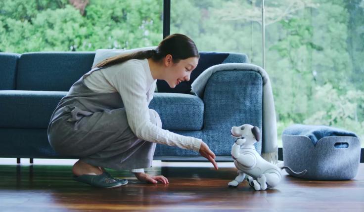 10款最新的智能机器人,十款智能机器人