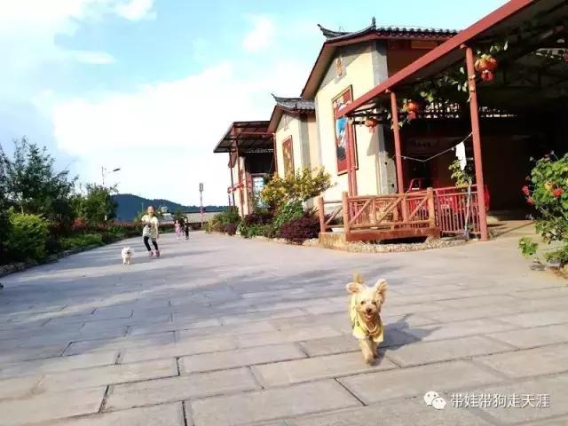 带孩子丽江自驾游,宝妈开着车带熊孩子兜风文案