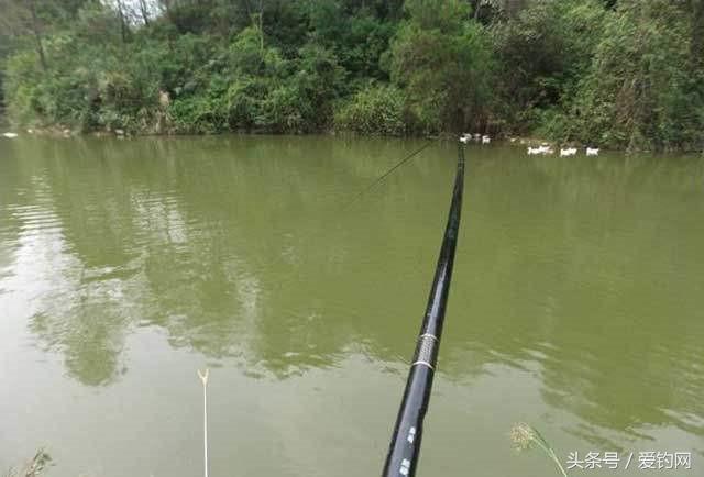 鱼竿竿稍入水,竿稍入水多少合适