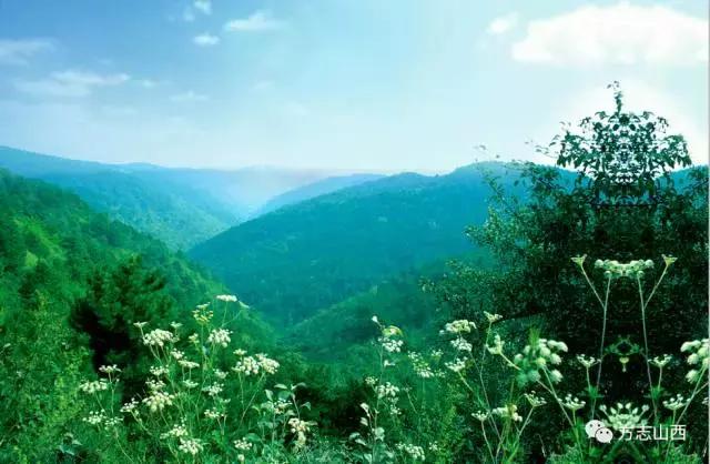 安泽古县五一旅游,安泽旅游景区有哪些