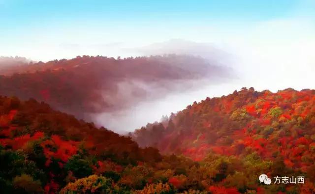 安泽古县五一旅游,安泽旅游景区有哪些