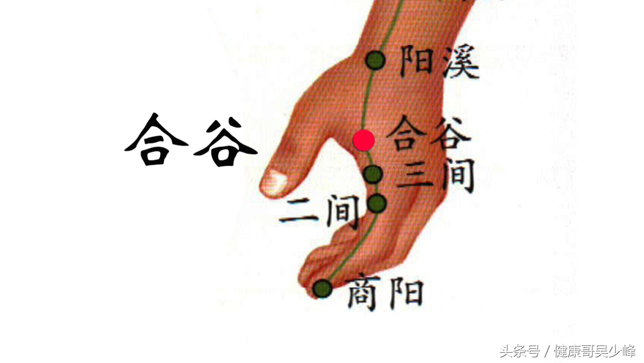 肝胆湿热引起的中耳炎该怎么治?健康哥告诉你方法来调理