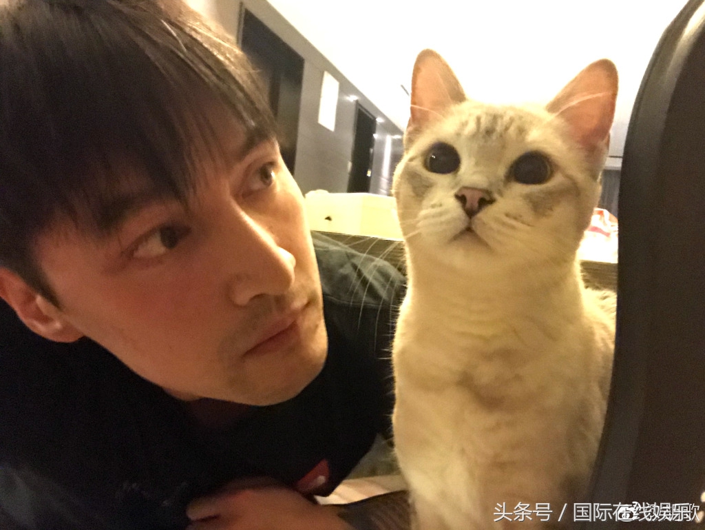 林更新王丽坤官宣过吗,林更新和王丽坤的恋情是真的吗