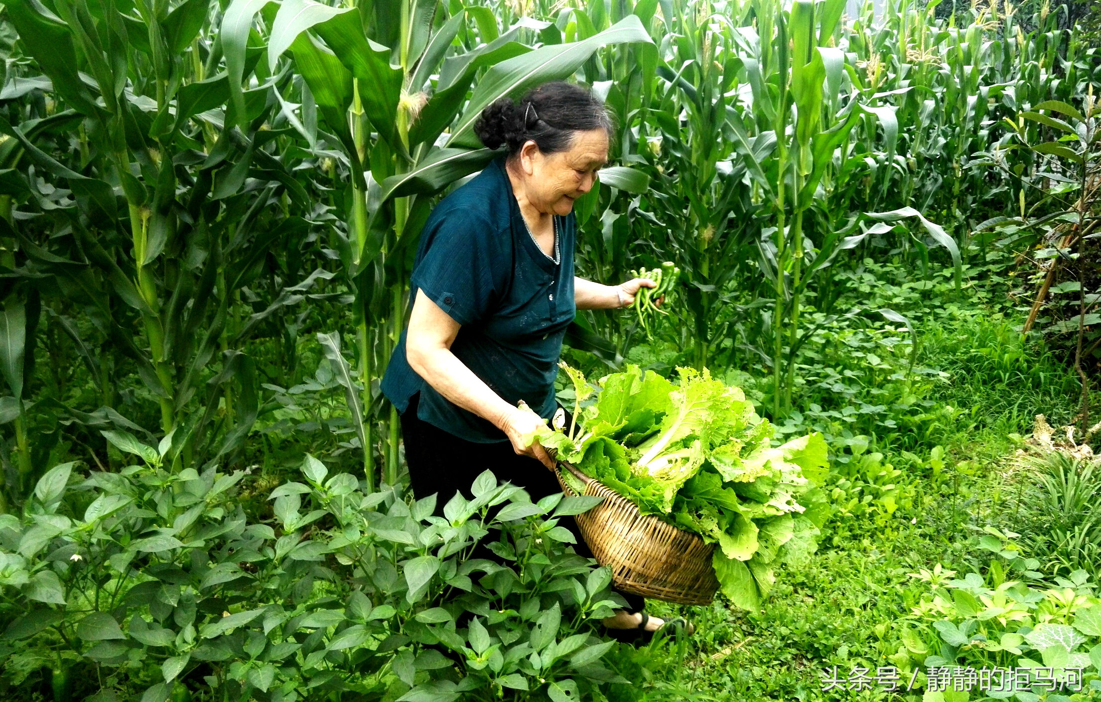 退役军人上校的民工日记,退役上校打工日记