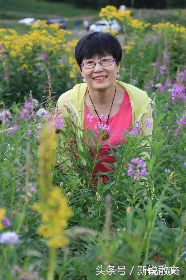 新疆散文的气质,关于赞美边疆建设者的散文