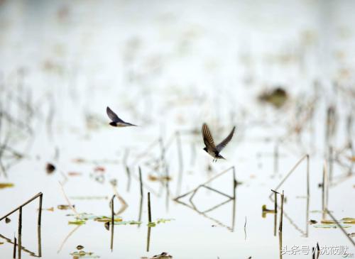 有你陪着我再苦也值得怎么回,总有人会在你无助的时候给你温暖