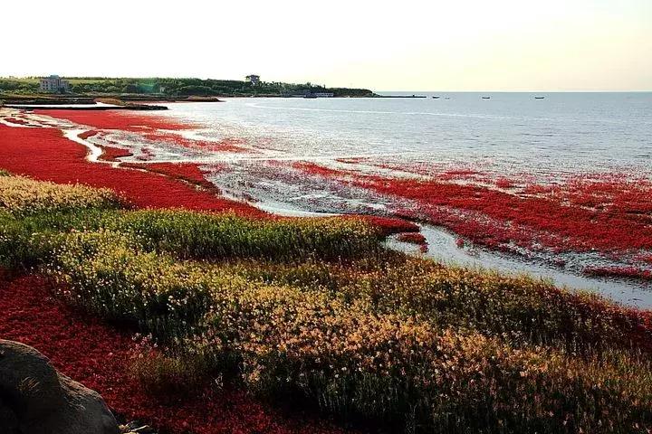这个元旦，我要从南走到北，看看这大大的中国！