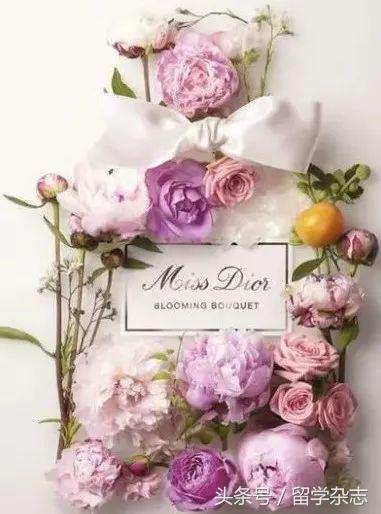 奢侈品管理课程及流程,奢侈品管理是做什么的