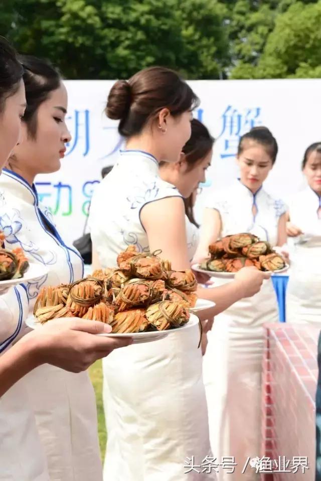 中国的螃蟹,螃蟹大赏的图片