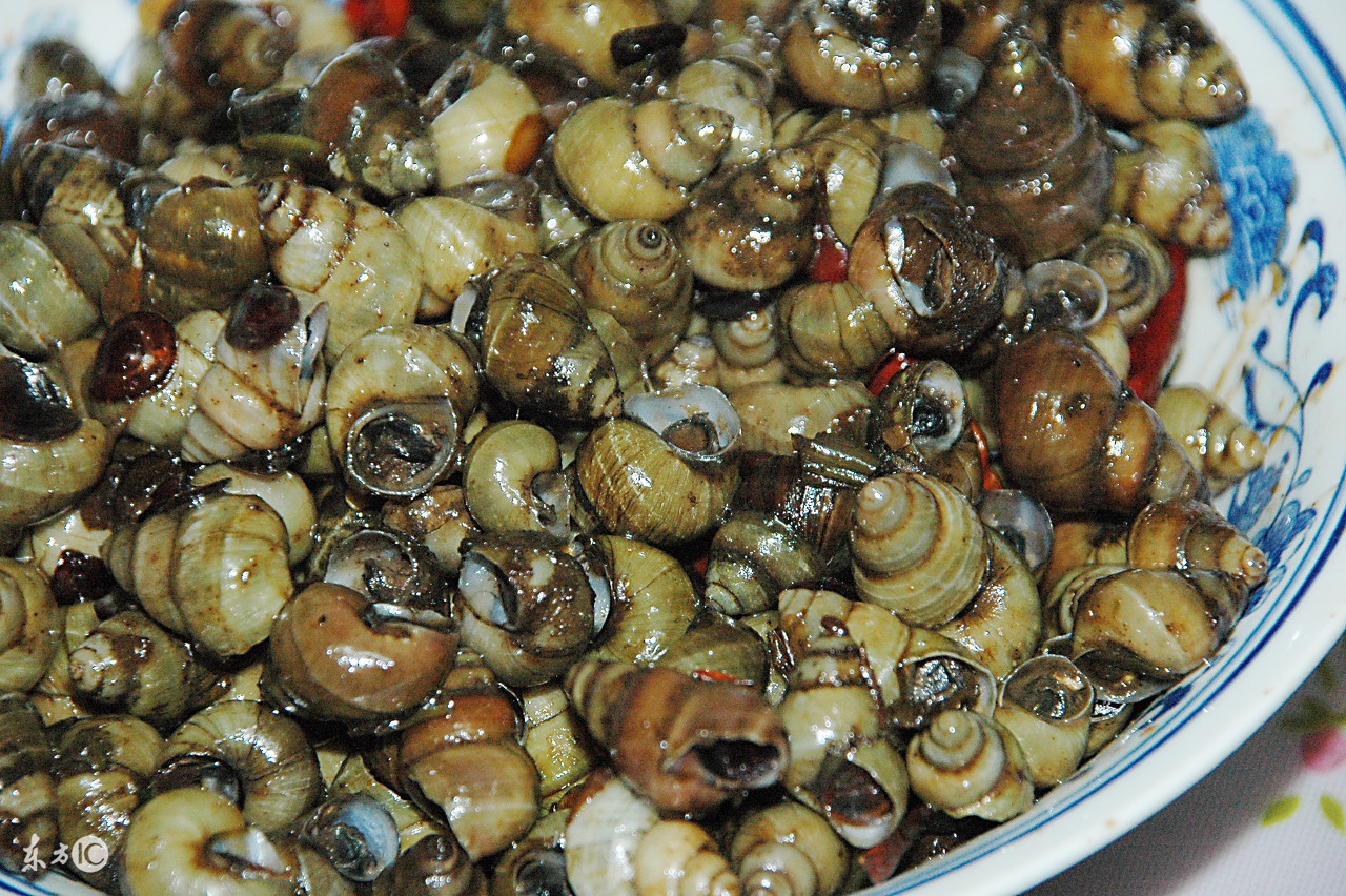 舌尖上的南昌美食一条街,舌尖上的江西南昌美食