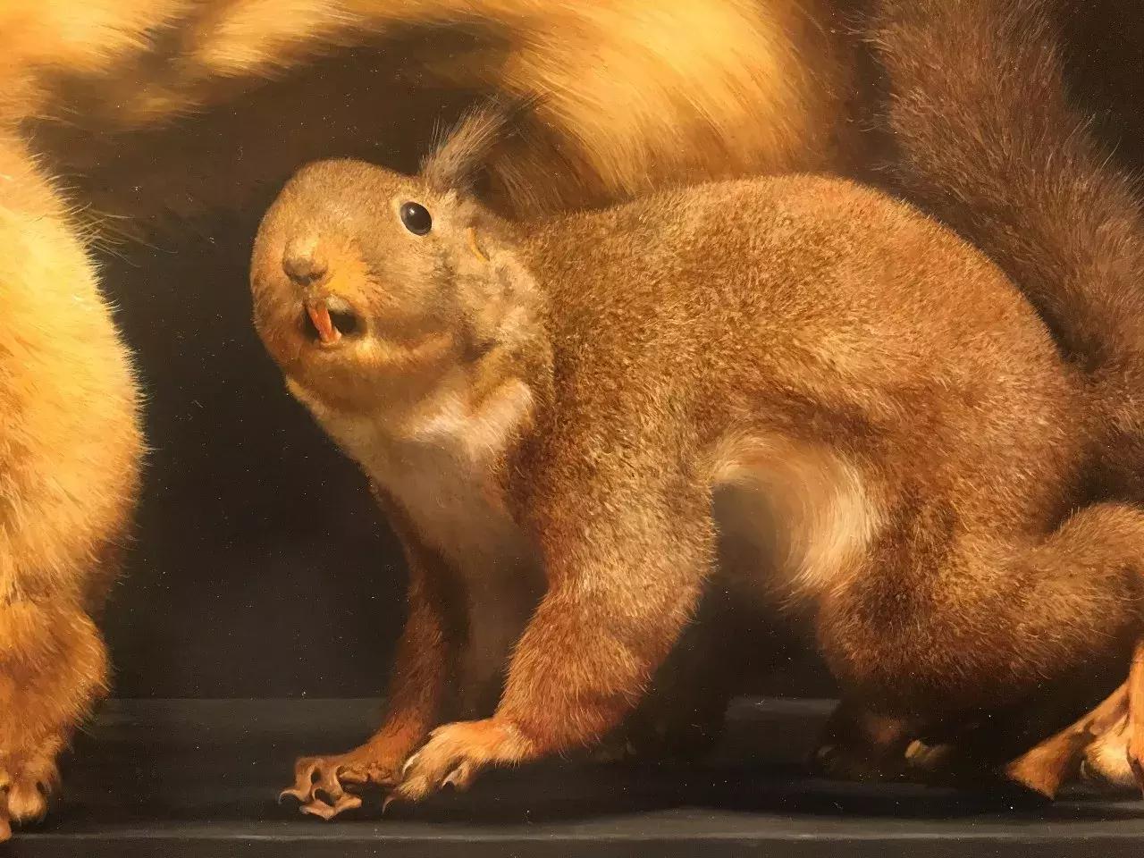 零基础绘画技法你学会了吗,绘画的十二种技法