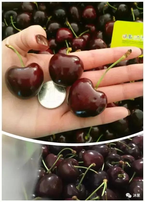 2月车厘子怎么挑选,夏季车厘子怎么选