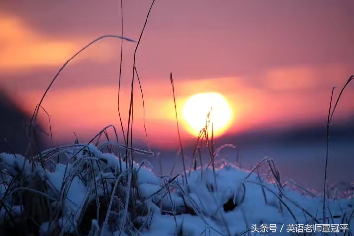 圣诞节英语会话,christmas圣诞节口语