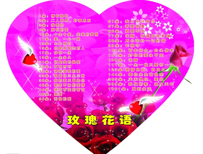 玫瑰花不同朵数代表什么花语,不同颜色玫瑰花花语和寓意一样吗